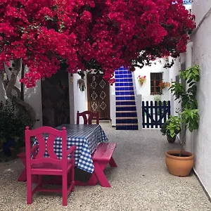 book here